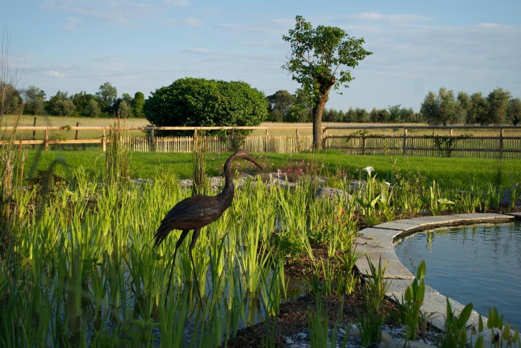 Agriturismo La Breda Affittacamere San Felice del Benaco Esterno foto